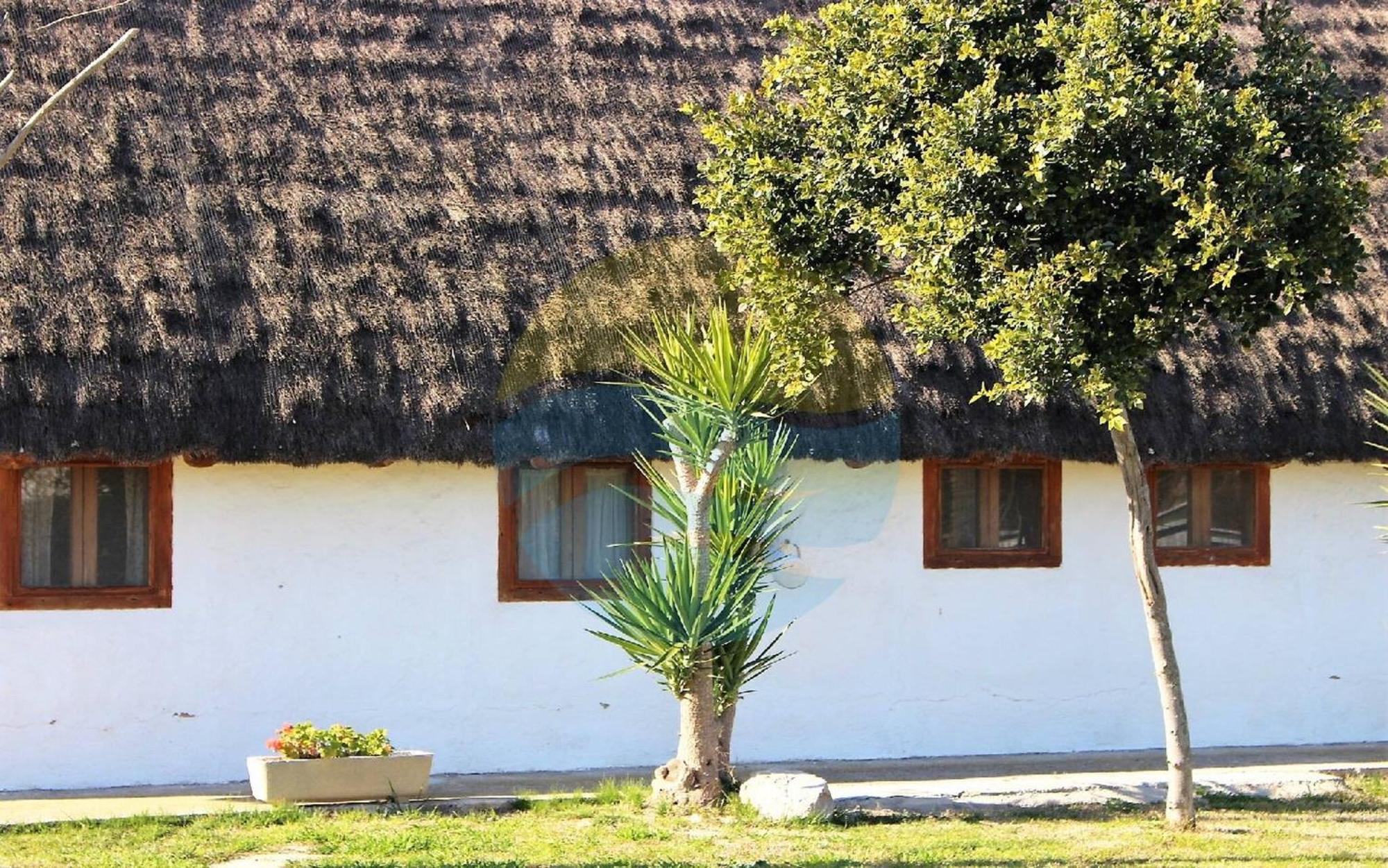 Barraca Tipica Del Delta, Con Piscina, Jardin Y Barbacoa - Deltavacaciones Villa Sant Jaume d'Enveja Exteriör bild